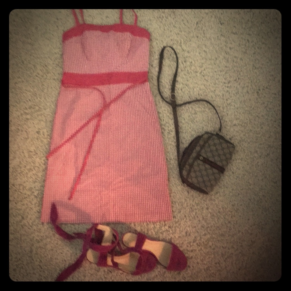 Ann Taylor pink  and white gingham dress ONLY